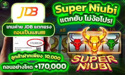 Super Niubi